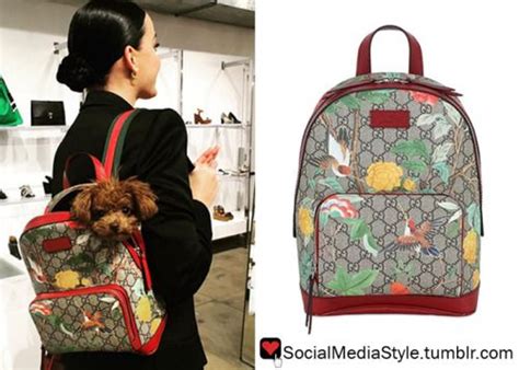 gucci backpack custom|gucci backpack hummingbird.